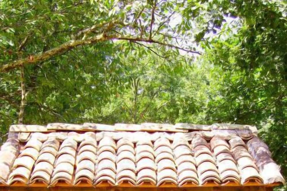 Photo of Outdoor in Mano