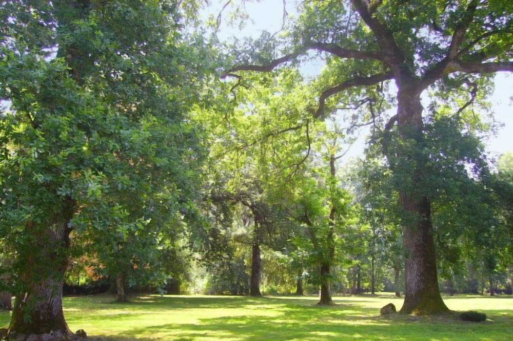 Photo of Outdoor in Mano