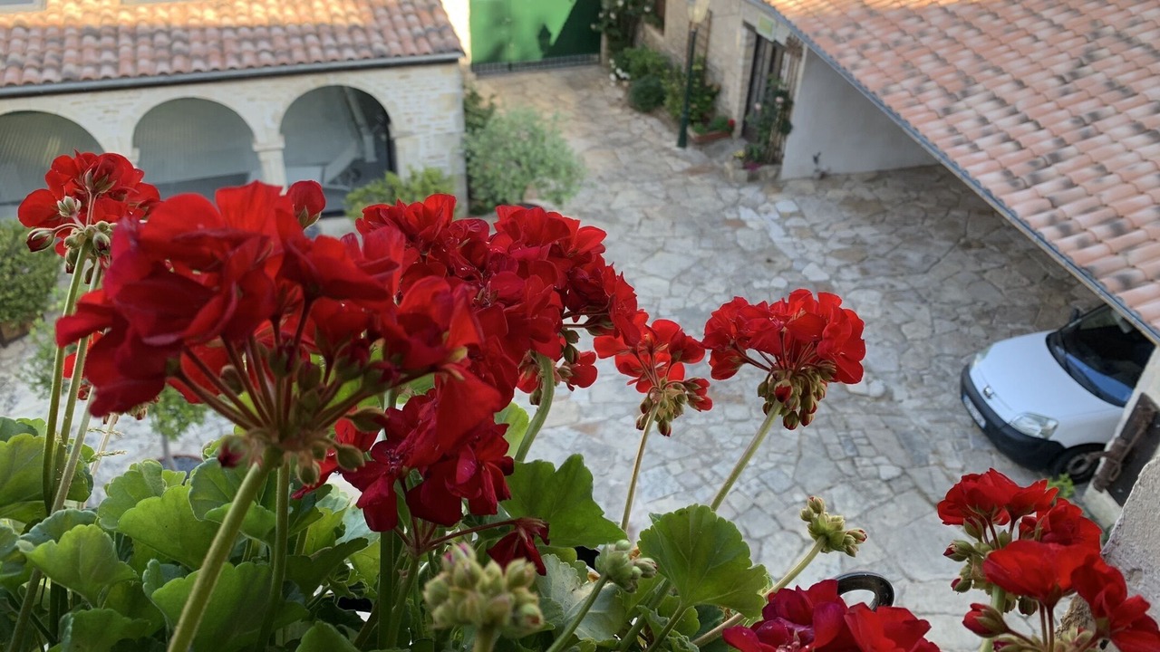 Photo of Bedroom in Chauray