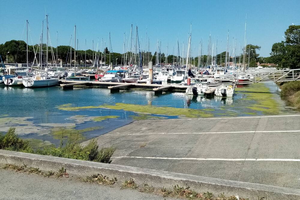 Photo of Others in Saint-Pierre-d'Oleron