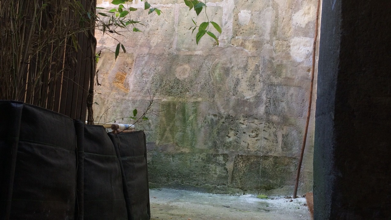Photo of Others in Hotel de Ville - Quinconces
