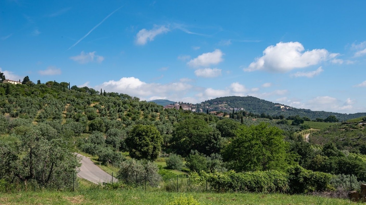 Photo of Others in Campiglia Marittima