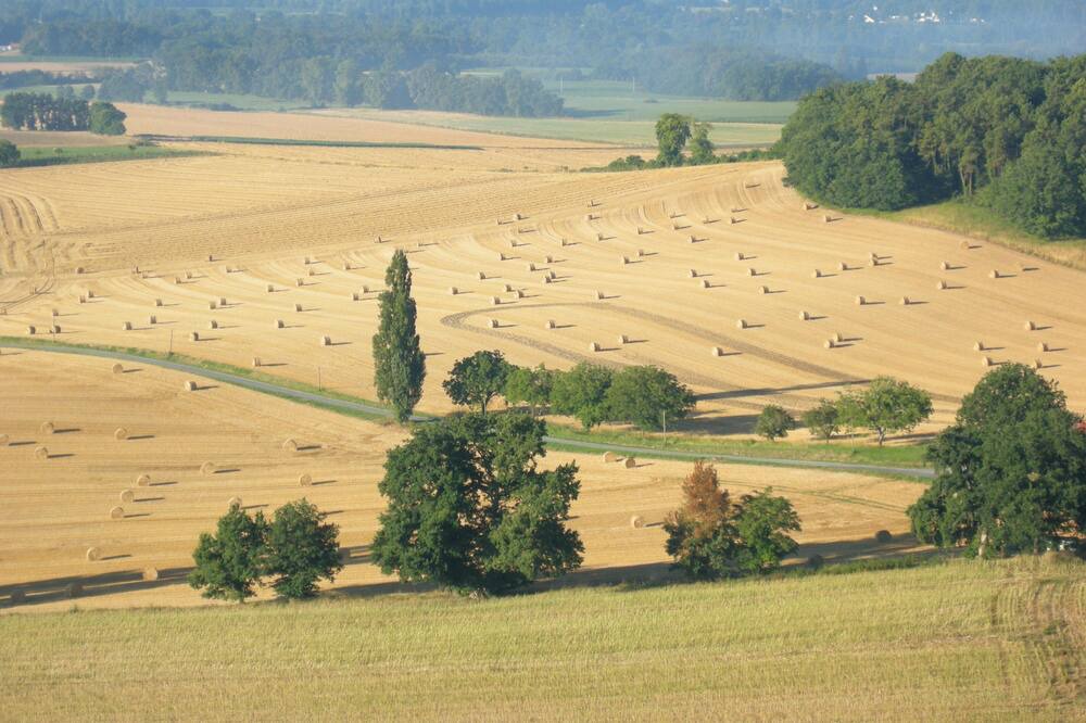 Photo of Others in Montboyer