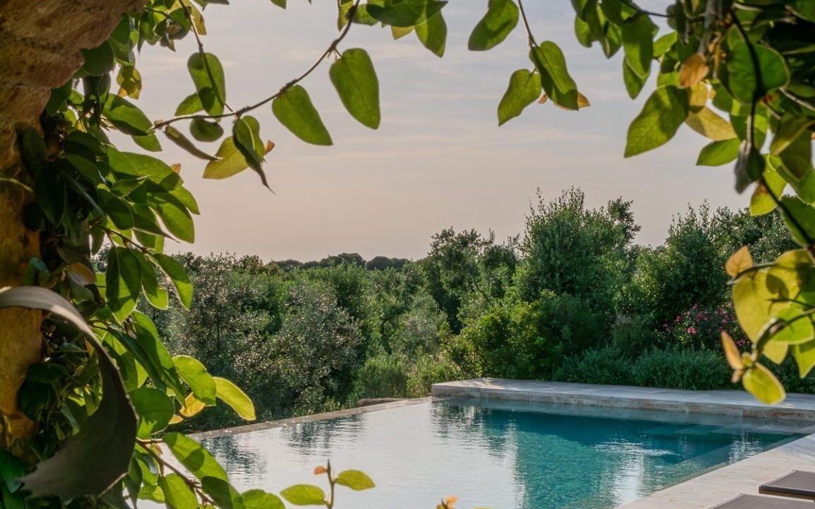 Photo of Outdoor in Bibbona