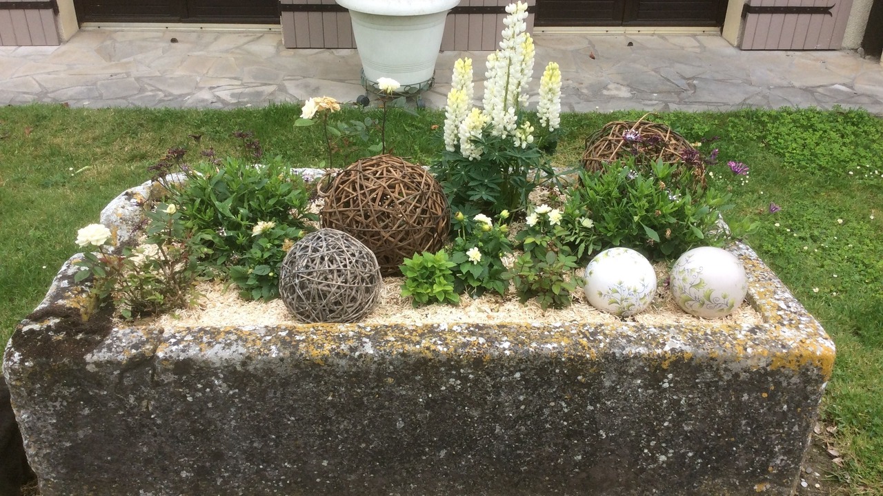 Photo of Outdoor in Gensac-la-Pallue