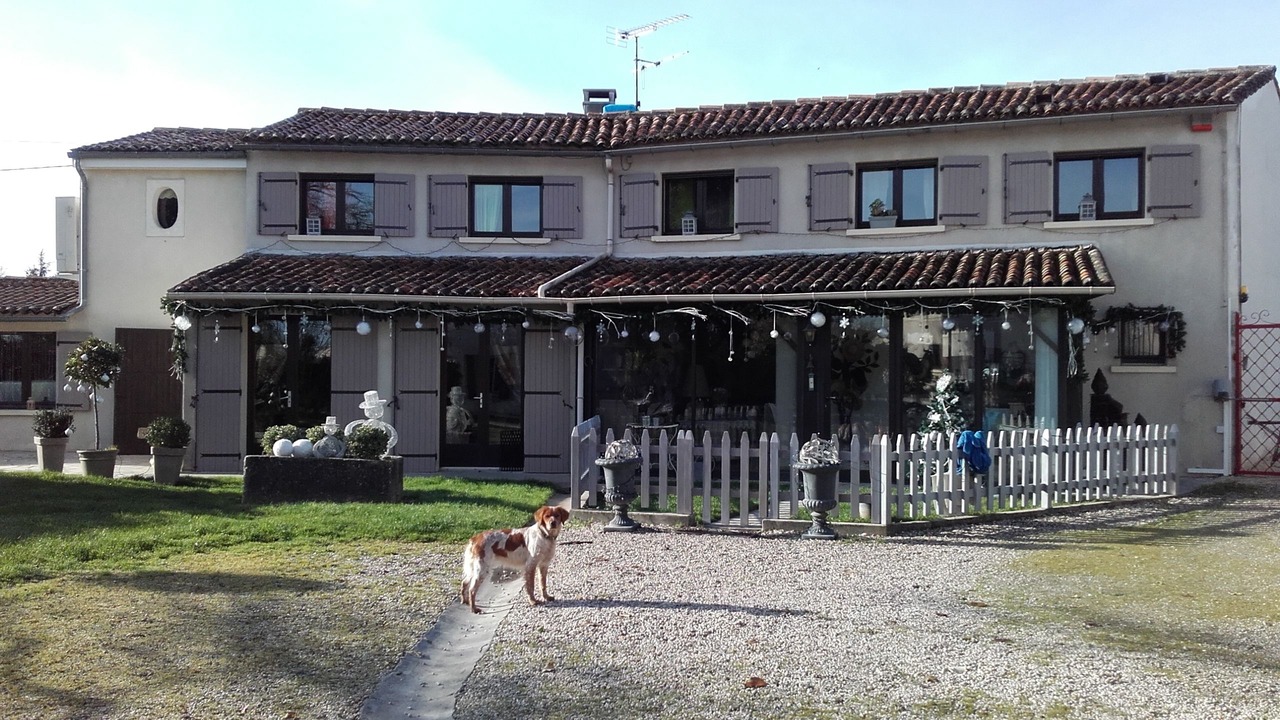 Photo of Outdoor in Gensac-la-Pallue