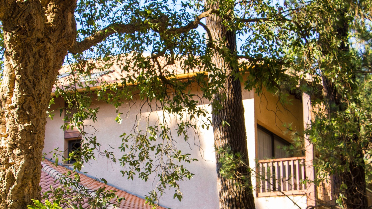 Photo of Patio Balcony in Les Estagnots