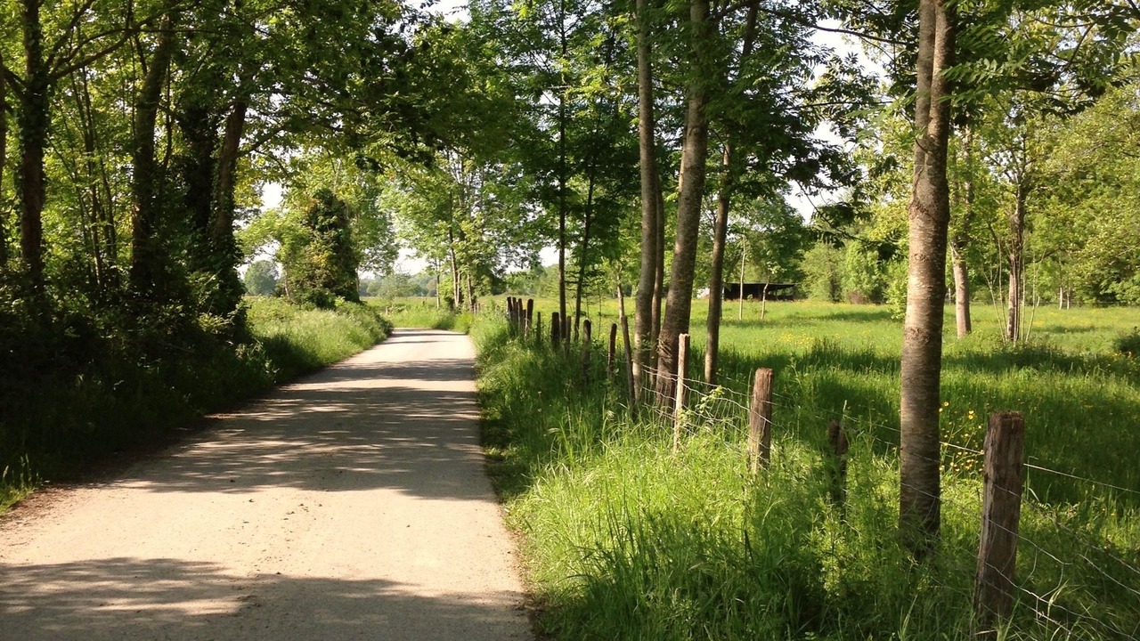 Photo of Outdoor in Pardies-Pietat