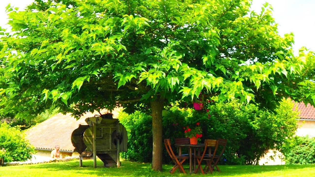 Photo of Outdoor in Grignols