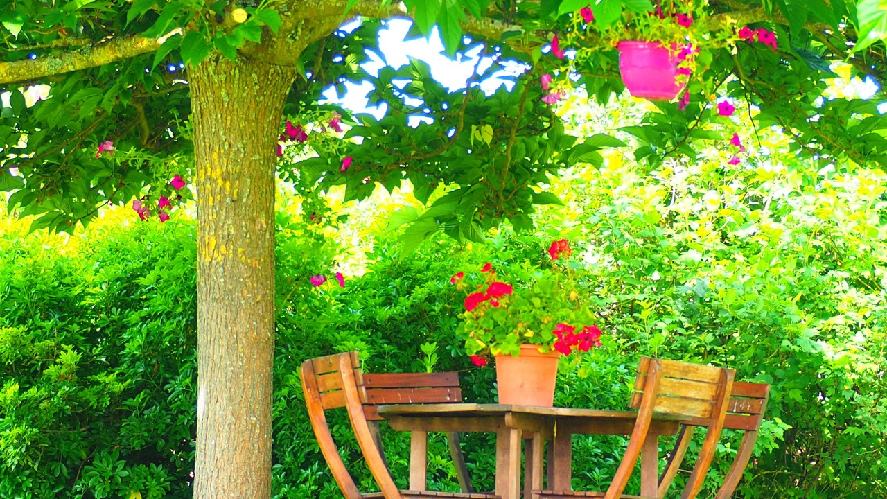 Photo of Outdoor in Grignols