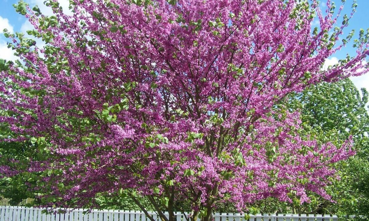 Photo of Outdoor in Mondion