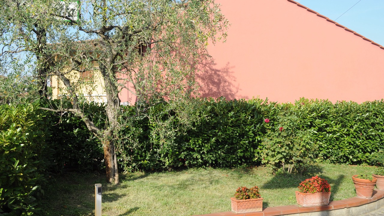 Photo of Outdoor in Signa