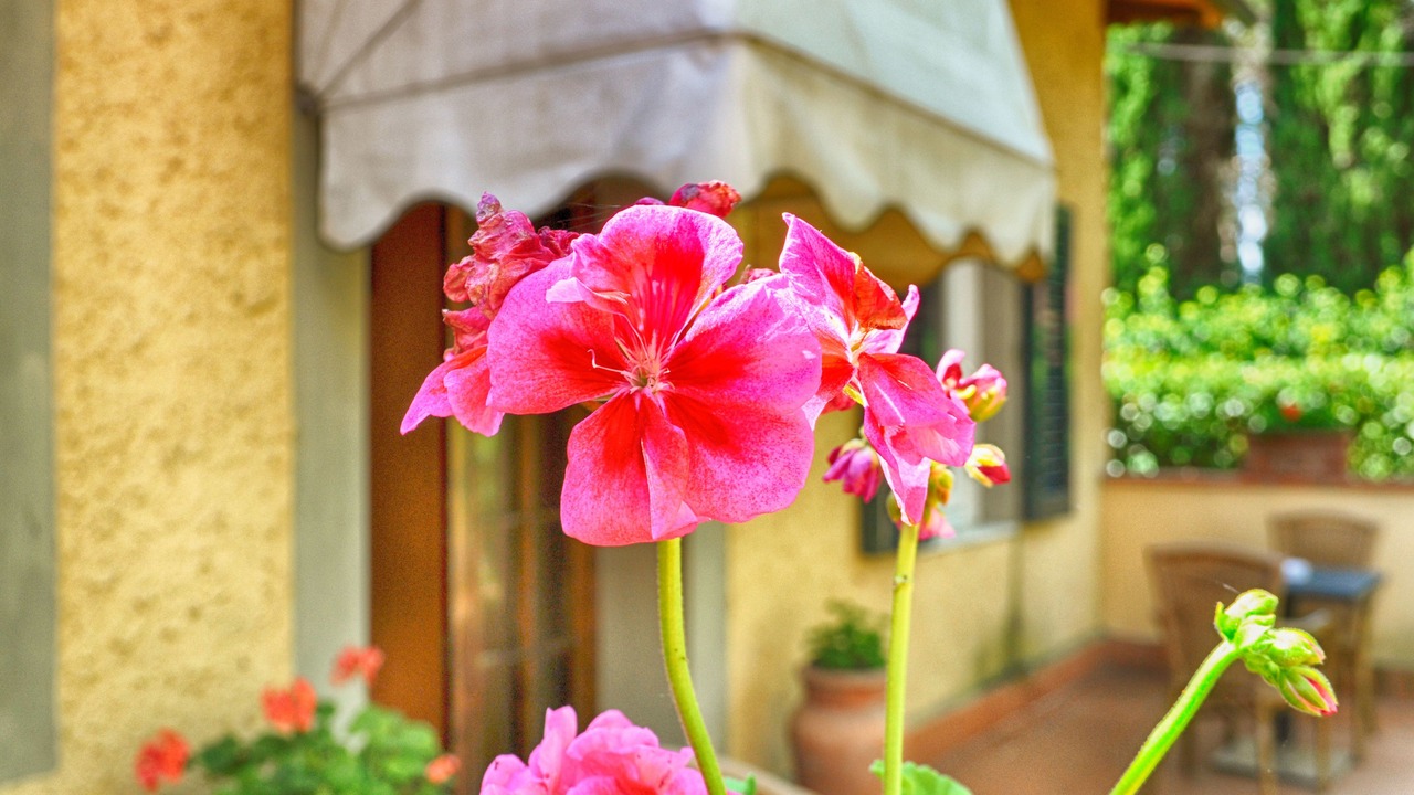 Photo of Outdoor in Lastra a Signa