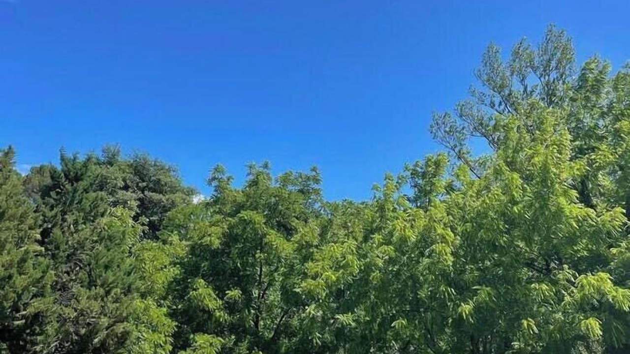 Photo of Outdoor in Lastra a Signa