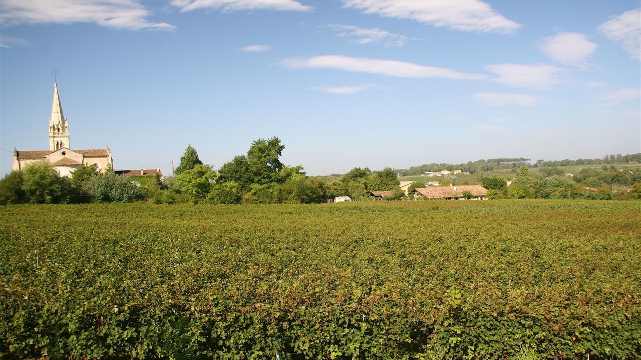 Photo of Others in Martillac