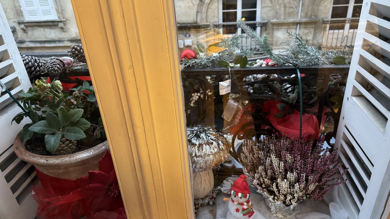 Photo of Others in Bordeaux Golden Triangle