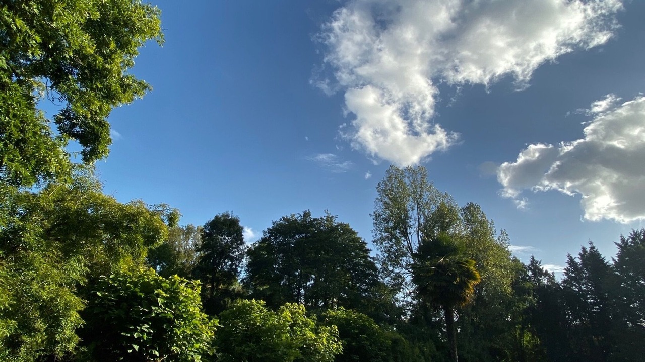 Photo of Outdoor in Champagnac-de-Belair