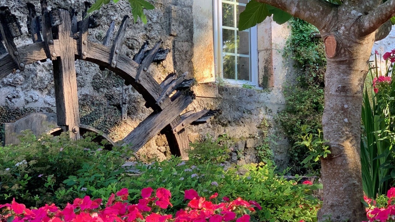 Photo of Outdoor in Champagnac-de-Belair