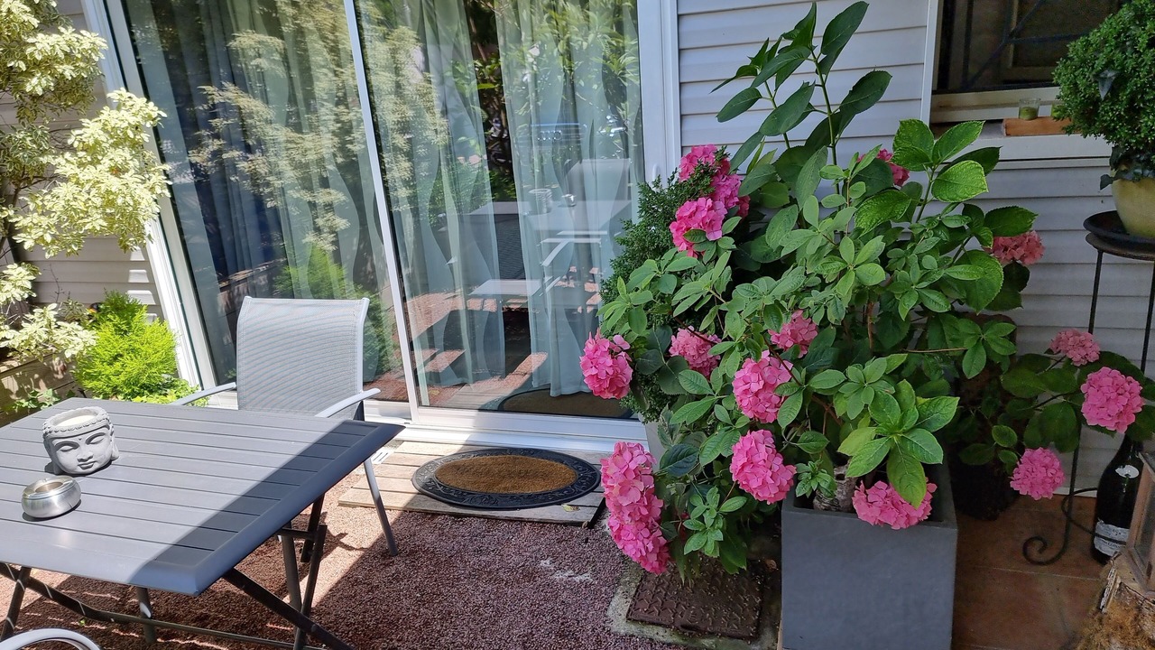 Photo of Patio Balcony in Saint-Palais-sur-Mer