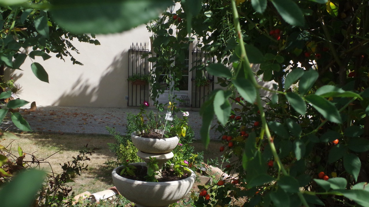 Photo of Outdoor in Courcelles