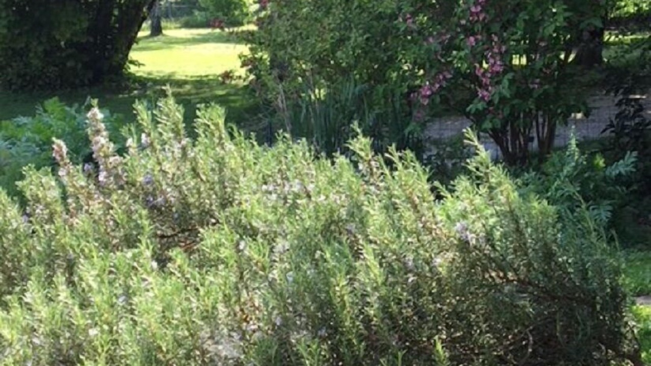 Photo of Outdoor in Les Fosses
