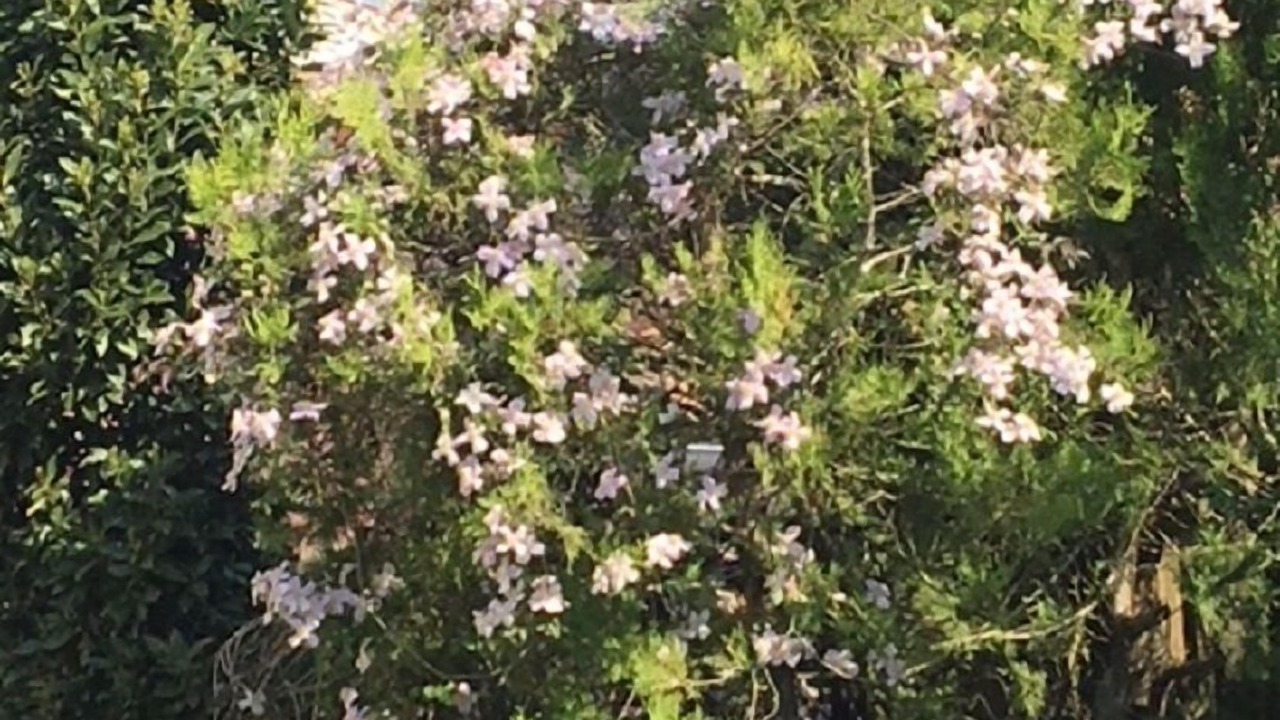 Photo of Outdoor in Les Fosses