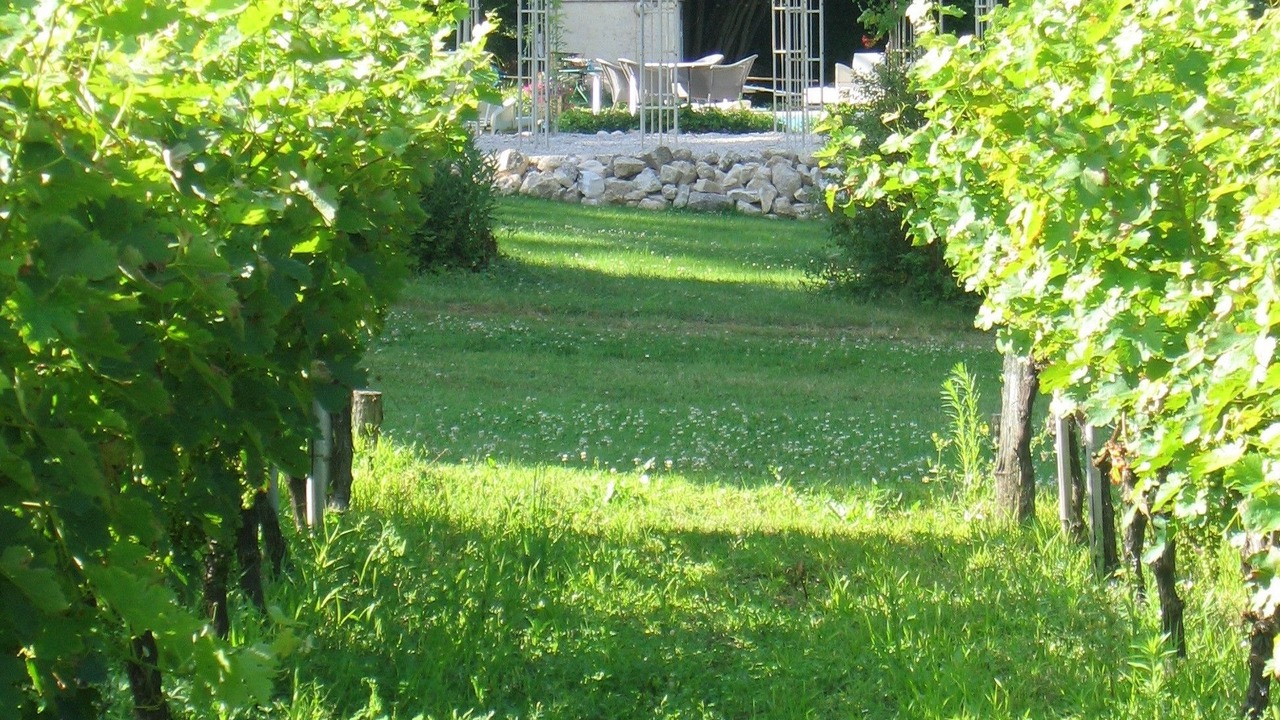Photo of Outdoor in La Roche-Posay