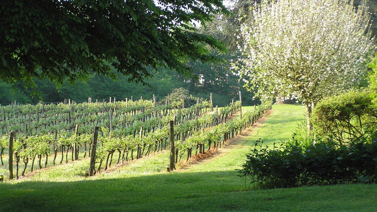 Photo of Outdoor in La Roche-Posay