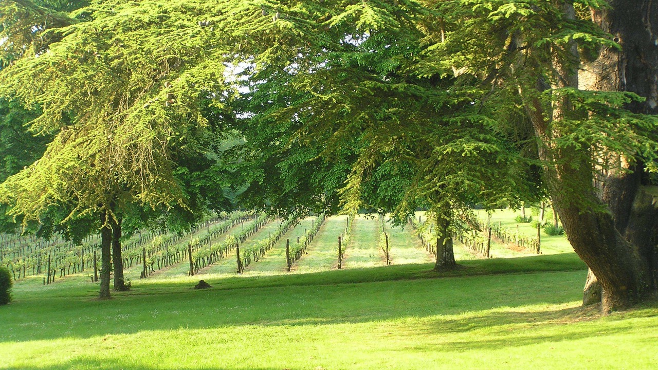Photo of Outdoor in La Roche-Posay