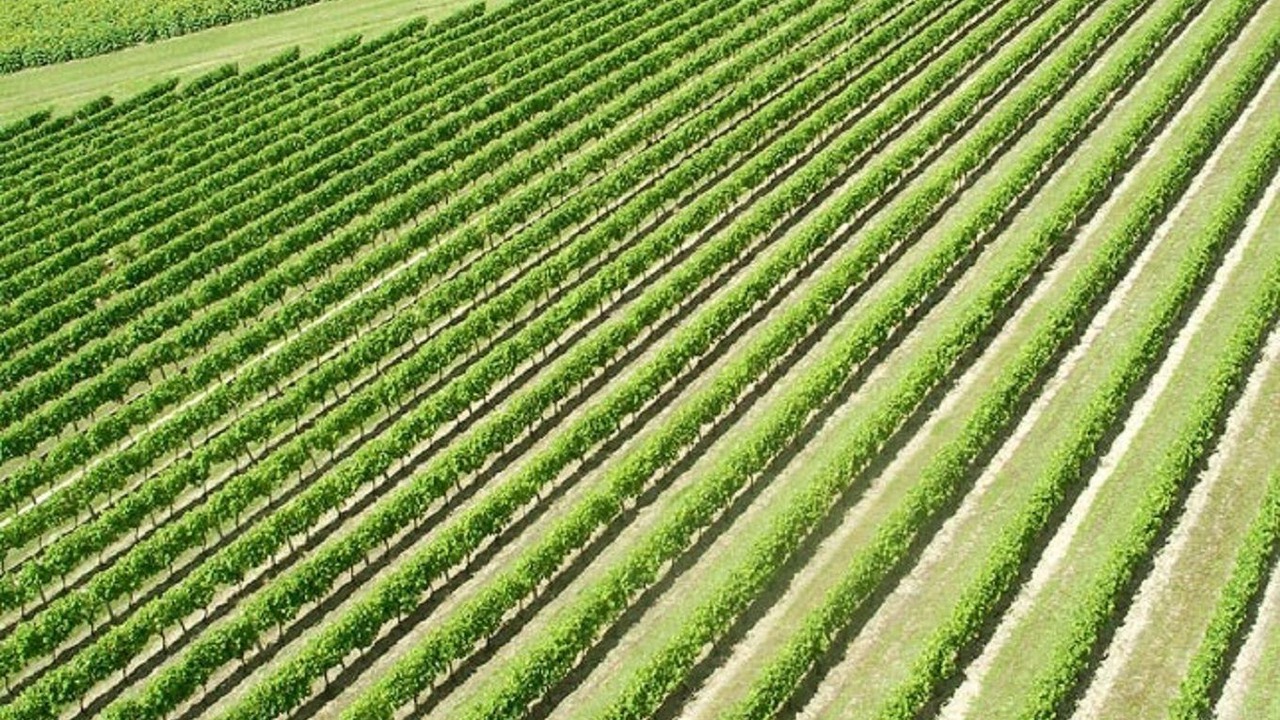 Photo of Outdoor in Chalais