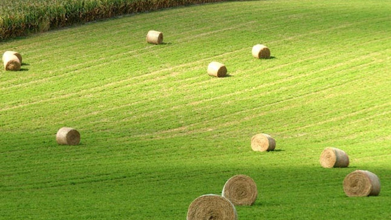 Photo of Outdoor in Chalais