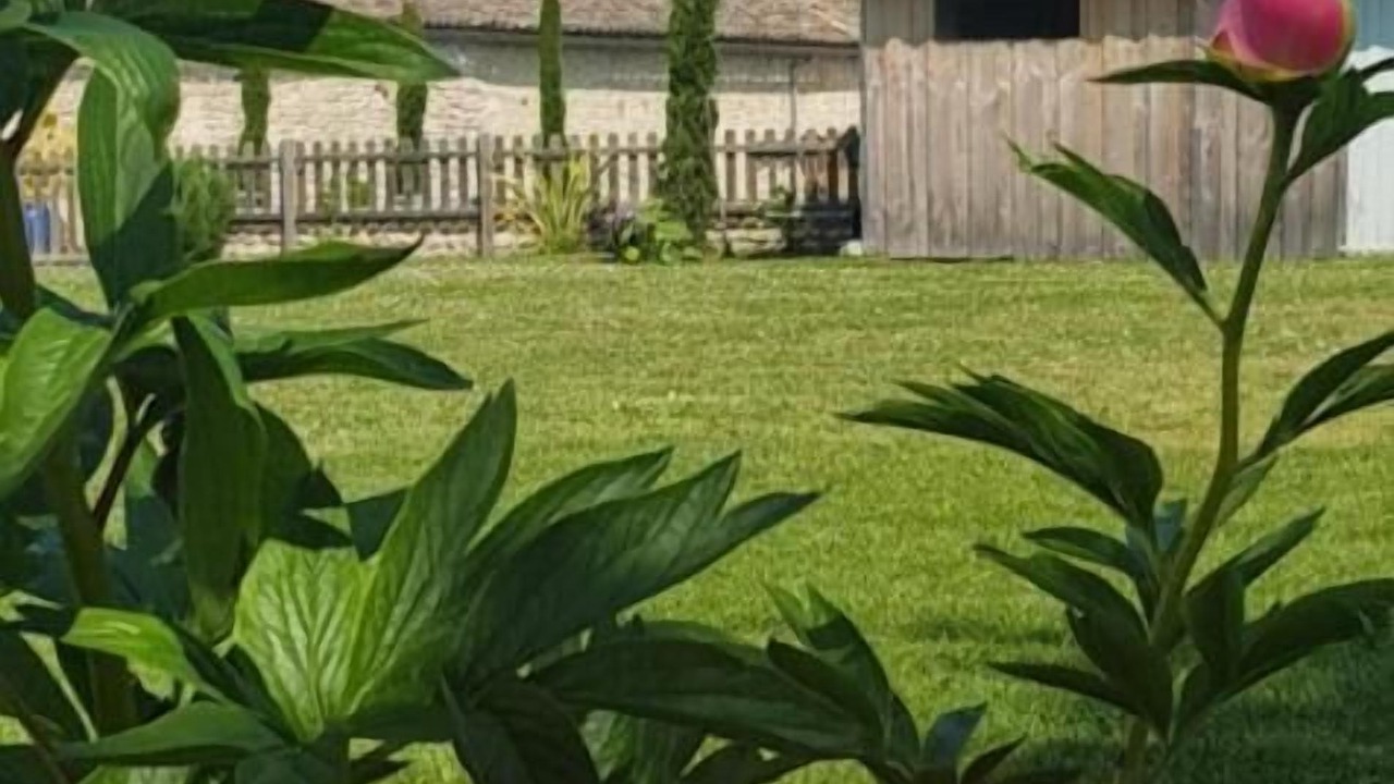 Photo of Outdoor in Gond-Pontouvre