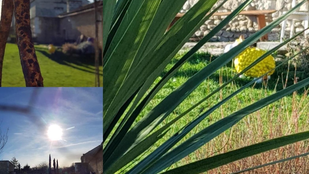 Photo of Outdoor in Gond-Pontouvre