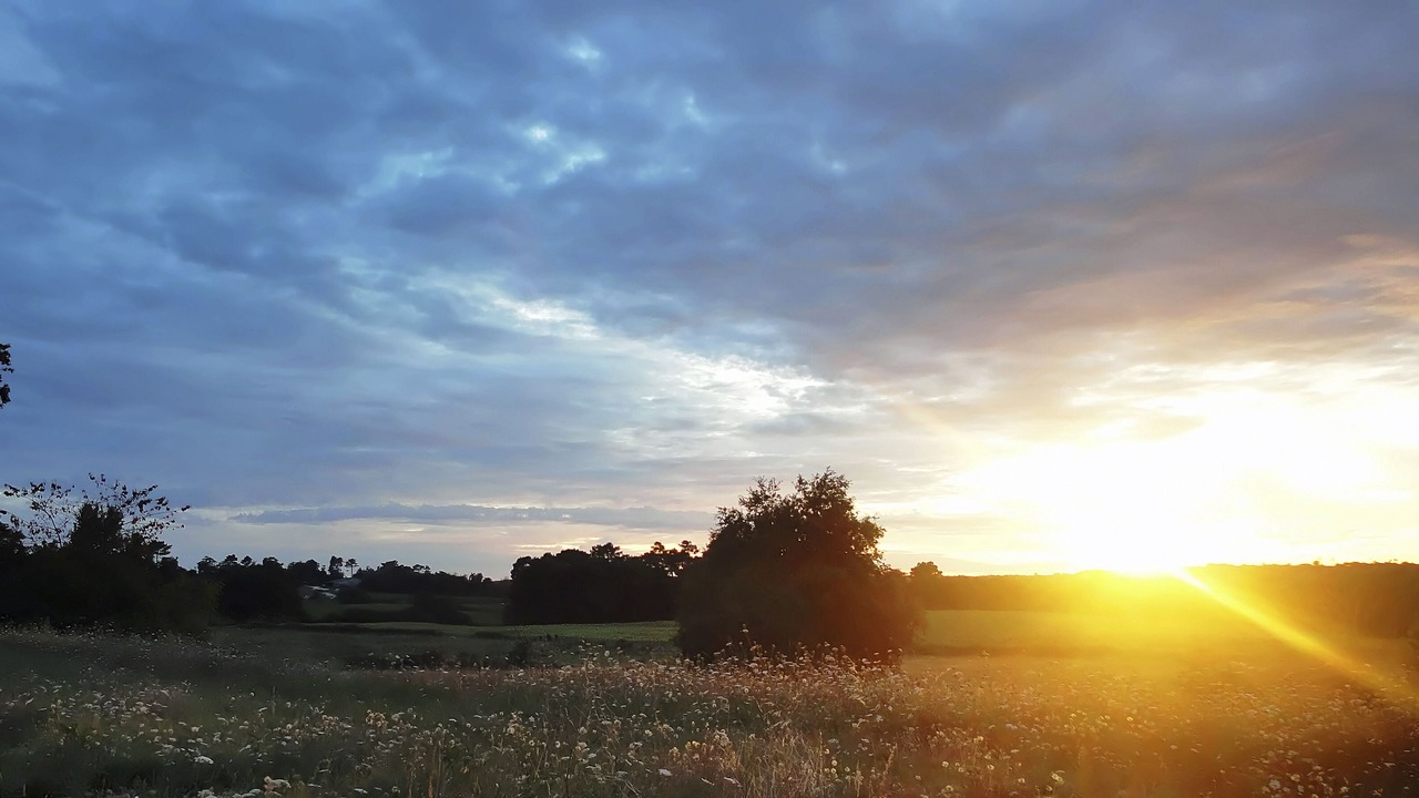 Photo of Others in Brossac