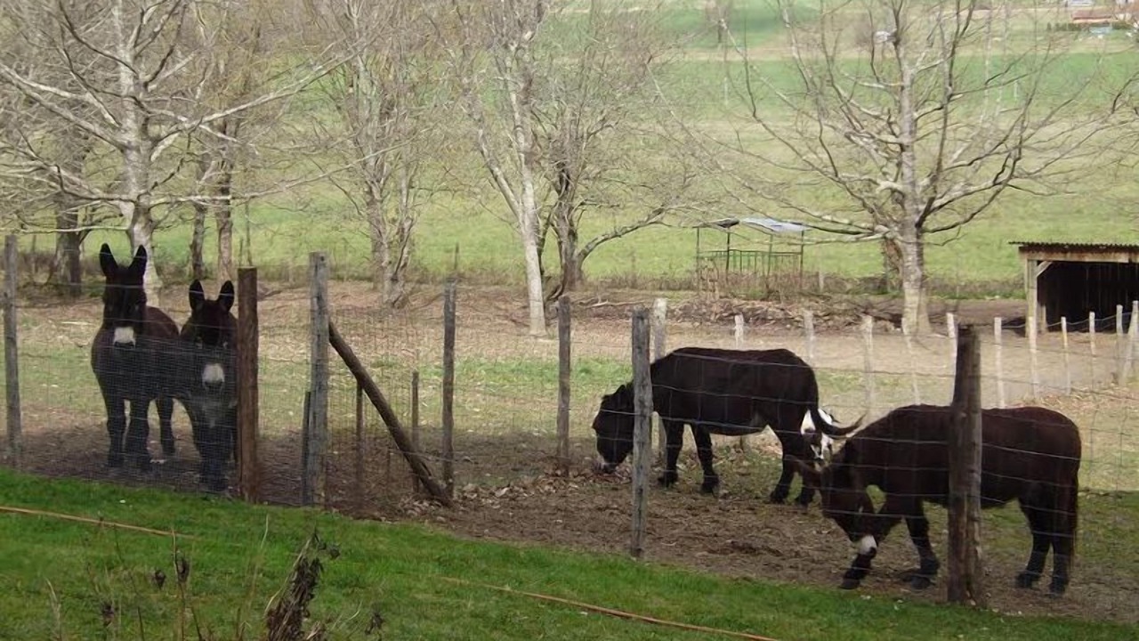 Photo of Outdoor in Saint-Germain-et-Mons