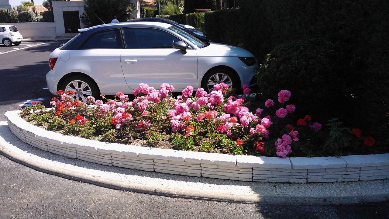 Photo of Outdoor in Les Mathes
