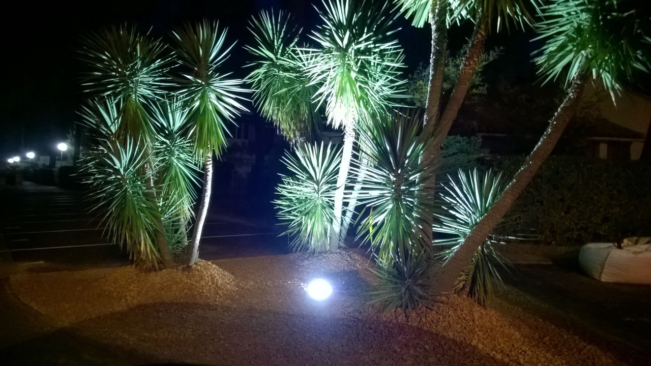 Photo of Outdoor in Les Mathes