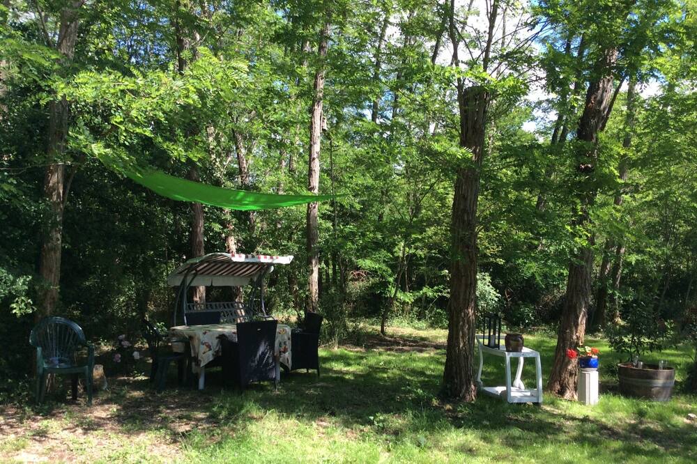 Photo of Outdoor in Queyrac
