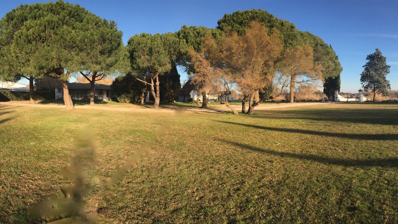 Photo of Outdoor in Saintes-Maries-de-la-Mer