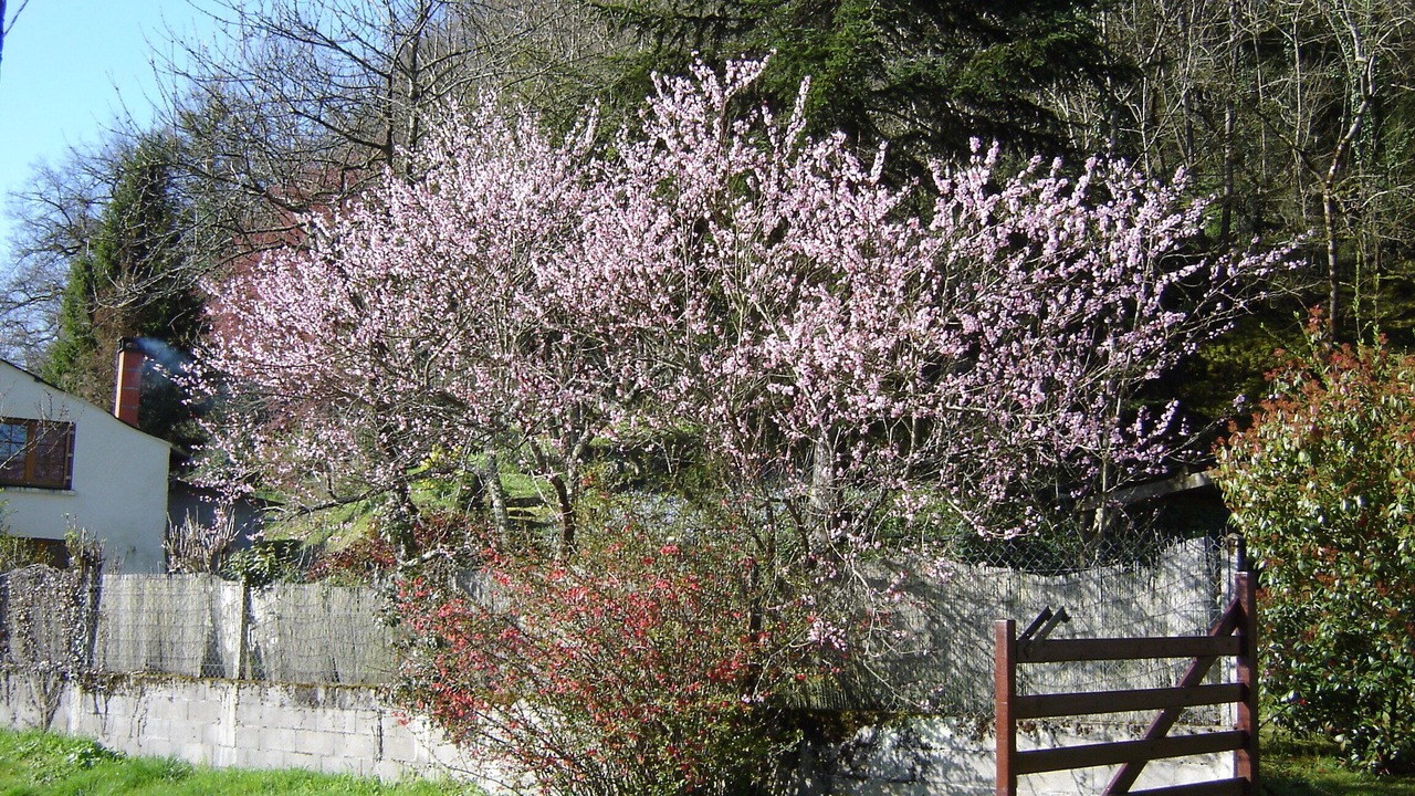 Photo of Outdoor in Moussac
