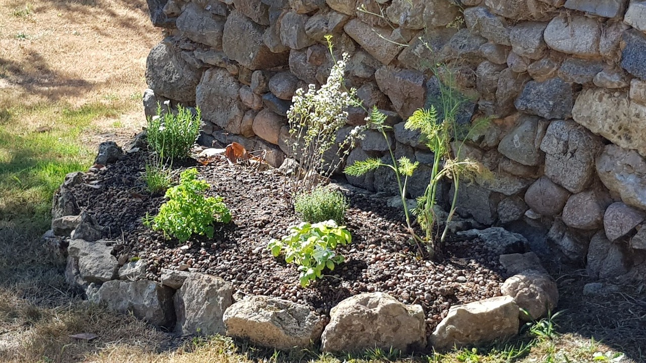Photo of Outdoor in Moussac