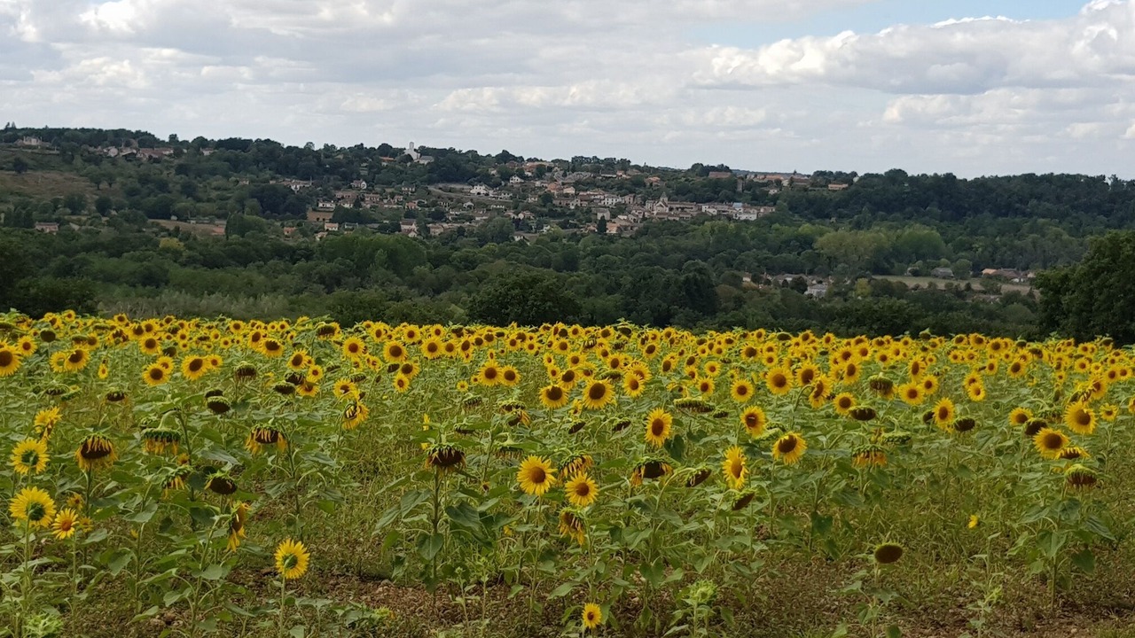 Photo of Outdoor in Moussac