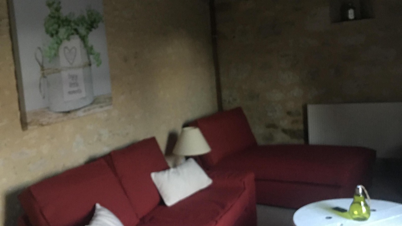 Photo of Livingroom in Les Leves-et-Thoumeyragues