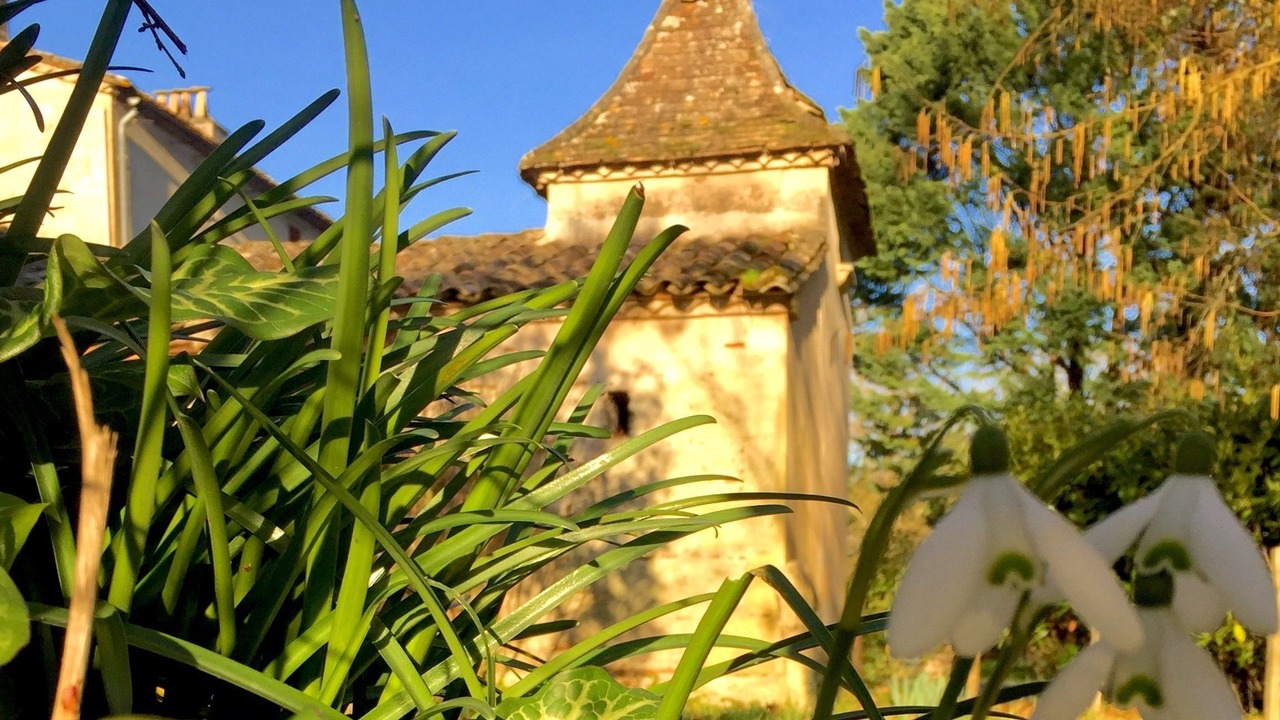 Photo of Outdoor in Pineuilh