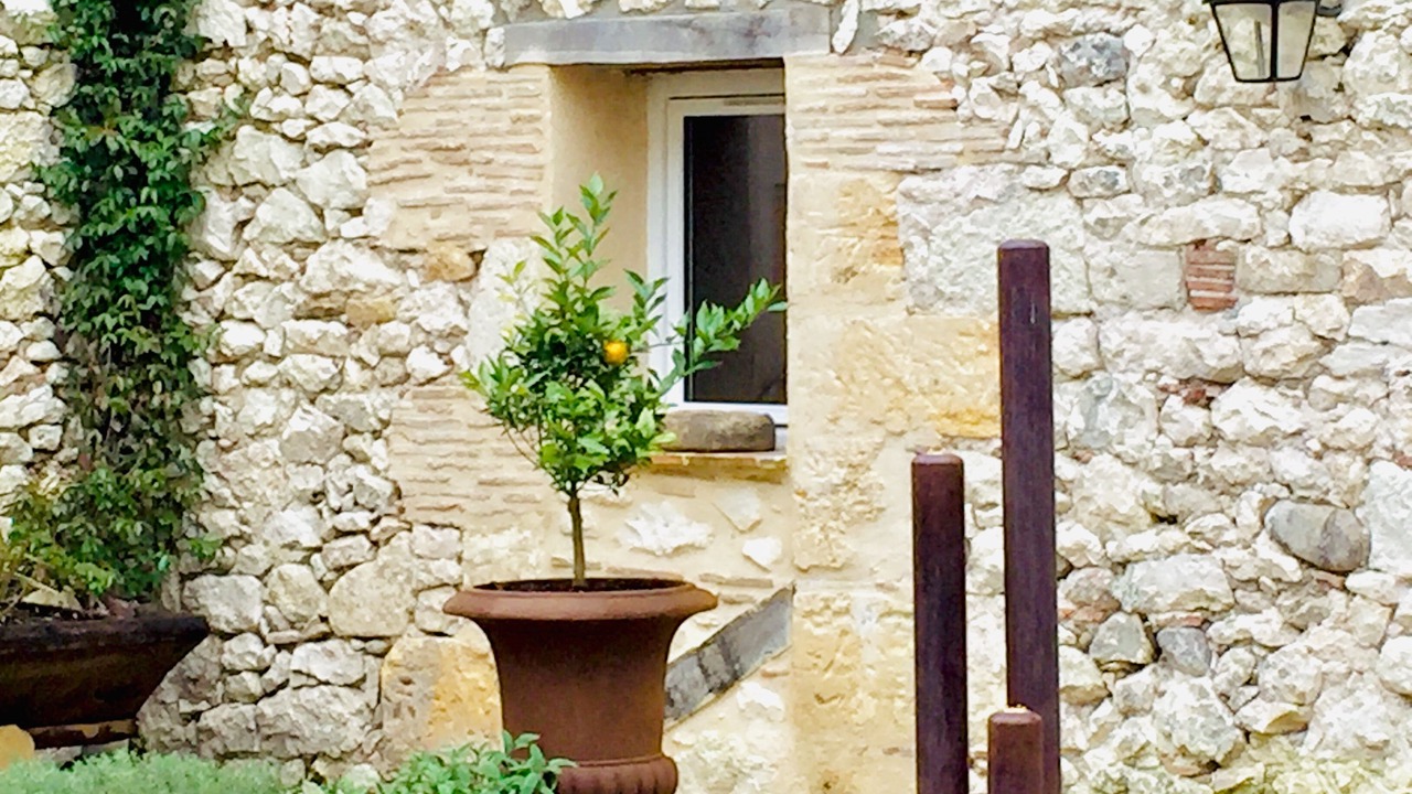Photo of Outdoor in Pineuilh