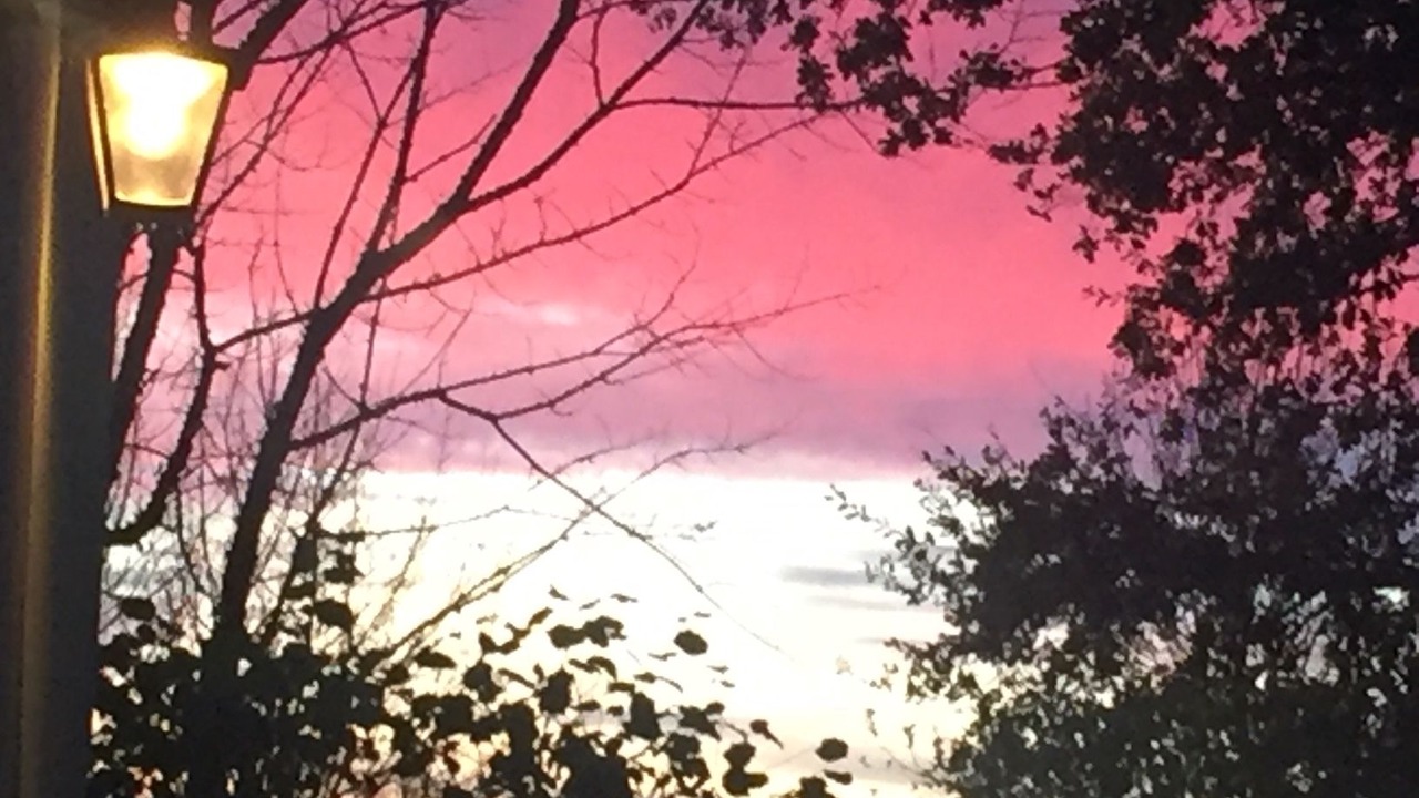 Photo of Outdoor in Pineuilh