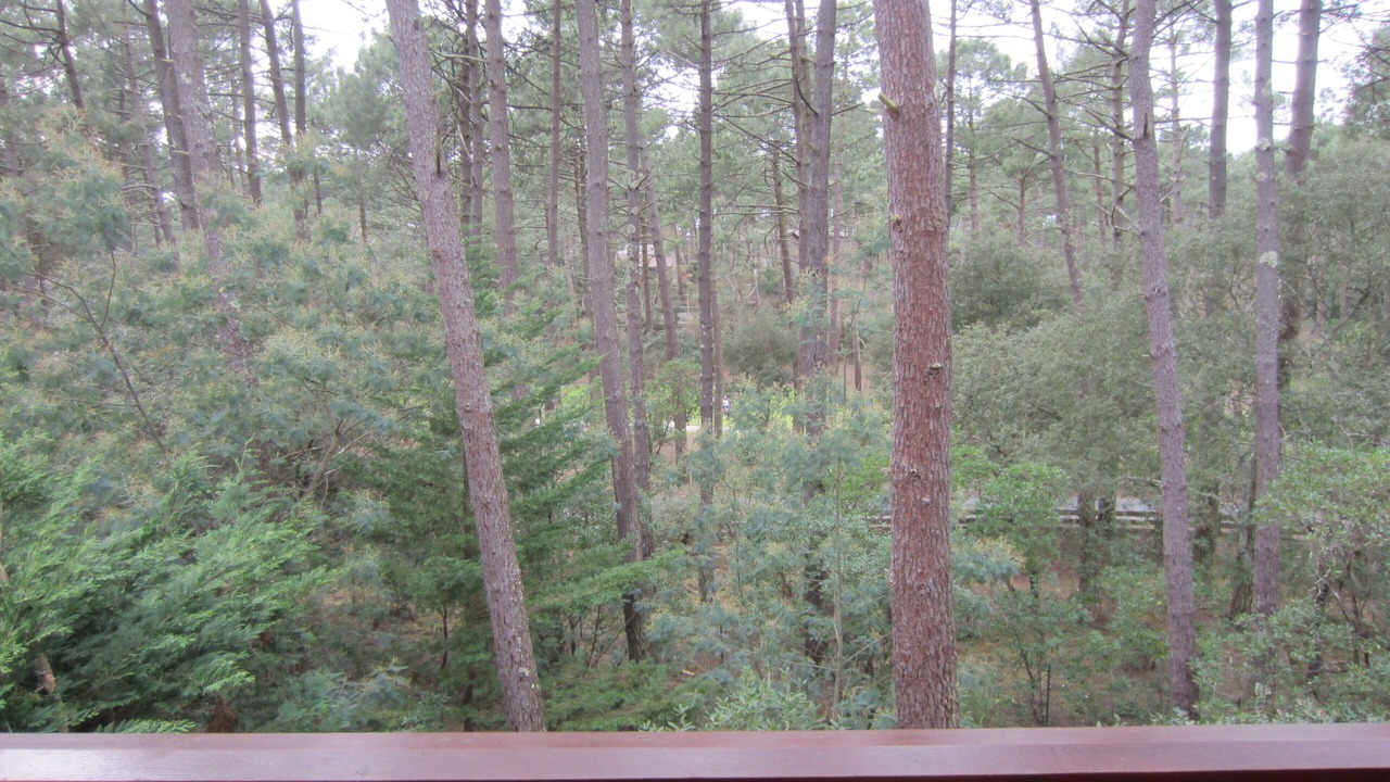 Photo of Outdoor in Lacanau-Ocean