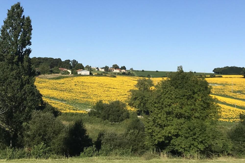 Photo of Outdoor in Saint-Romain
