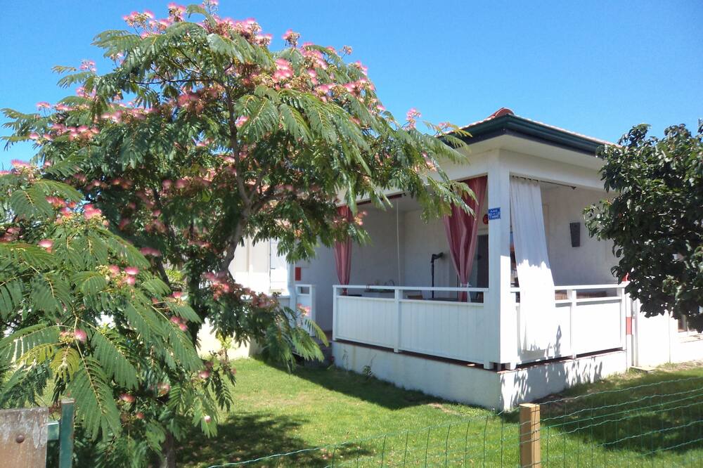 Photo of Outdoor in Gujan-Mestras
