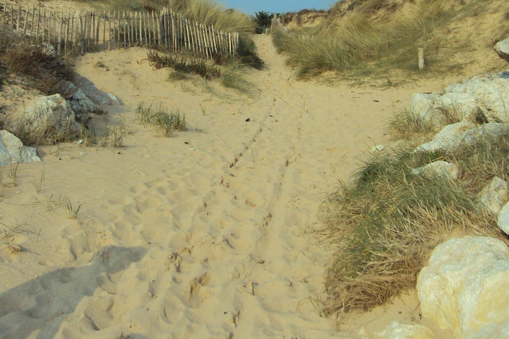 Photo of Others in Saint-Georges-d'Oleron